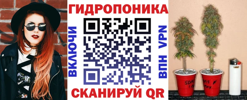 МЕФ Кущёвская