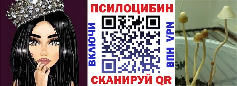 МЕГА   Кущёвская  Псилоцибиновые грибы MAGIC MUSHROOMS 