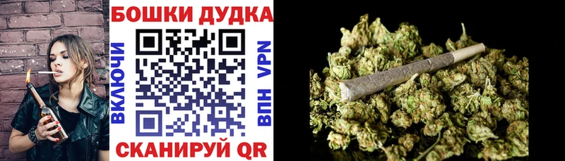 закладка  Кущёвская  Каннабис семена 